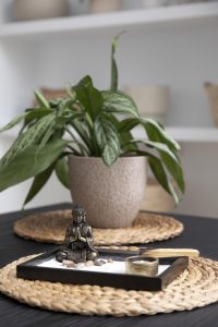 feng shui yoga mat
